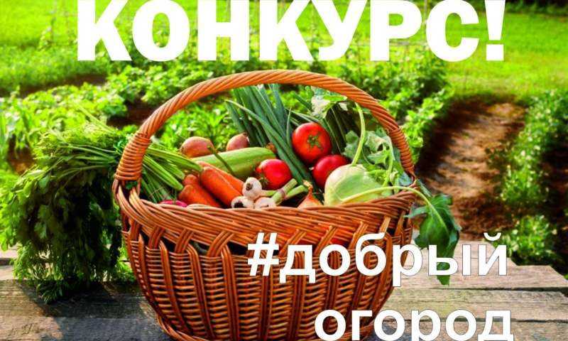 Добрый огород