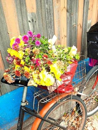 Нашим пожилым подопечным очень важно чувствовать себя нужными и любимыми!